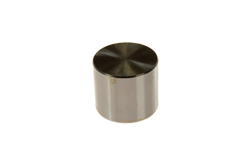 Миниатюра 2: Толкатель клапана Рено Трафик 1.9 Dci - 7.70mm | KolbenShmidt (Германия)